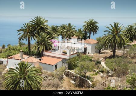 Une villa blanche avec plusieurs bâtiments, toits en tuiles orange et palmiers, près de la Punta, sur la côte de l'île de la Palma, îles Canaries, Espagne Banque D'Images
