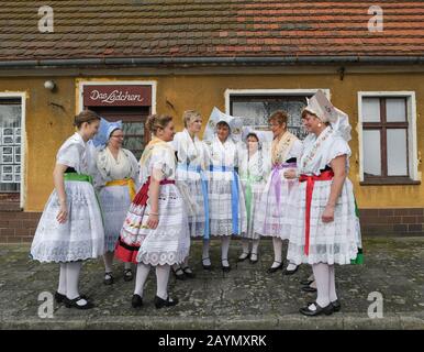 Neu Zauche, Allemagne. 15 février 2020. Les femmes du costume original sorabe-Wendish Spreewald du village de Straupitz participent au traditionnel Zabust, le carnaval. 95 couples mariés et 33 couples de jeunes ont participé au 145ème carnaval du village de Spreewald. Avec la procession du carnaval dans les villages de Lusace, l'hiver est chassé selon une vieille coutume. Crédit: Patrick Pleul/dpa-Zentralbild/ZB/dpa/Alay Live News Banque D'Images