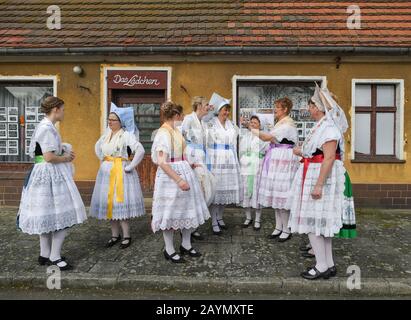 Neu Zauche, Allemagne. 15 février 2020. Les femmes du costume original sorabe-Wendish Spreewald du village de Straupitz participent au traditionnel Zabust, le carnaval. 95 couples mariés et 33 couples de jeunes ont participé au 145ème carnaval du village de Spreewald. Avec la procession du carnaval dans les villages de Lusace, l'hiver est chassé selon une vieille coutume. Crédit: Patrick Pleul/dpa-Zentralbild/ZB/dpa/Alay Live News Banque D'Images