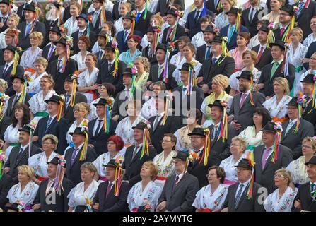 Neu Zauche, Allemagne. 15 février 2020. Couples dans les costumes de fête sorabe-Wendish originaux alignés pour une photo de groupe à la traditionnelle Zabust, le carnaval. 95 couples mariés et 33 couples de jeunes ont participé au 145ème carnaval du village de Spreewald. Avec la procession du carnaval dans les villages de Lusace, l'hiver est chassé selon une vieille coutume. Crédit: Patrick Pleul/dpa-Zentralbild/ZB/dpa/Alay Live News Banque D'Images