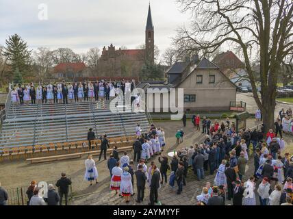 Neu Zauche, Allemagne. 15 février 2020. Les couples dans les costumes de fête sorabe-Wendish d'origine s'alignent pour une photo de groupe à la traditionnelle Zabust, le carnaval. 95 couples mariés et 33 couples de jeunes ont participé au 145ème carnaval du village de Spreewald. Avec la procession du carnaval dans les villages de Lusace, l'hiver est chassé selon une vieille coutume. Crédit: Patrick Pleul/dpa-Zentralbild/ZB/dpa/Alay Live News Banque D'Images