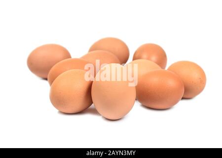 Gros groupe de dix œufs isolés sur fond blanc. Œufs bruns coupés. Concept de Pâques Banque D'Images