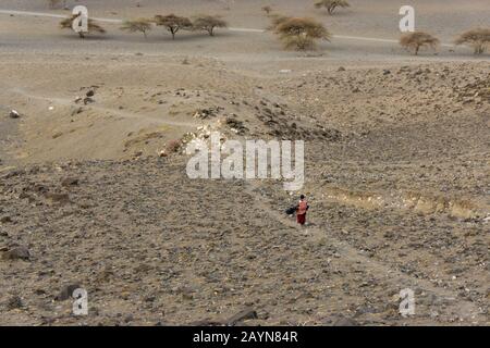 Un garçon de Maasai indéfini marche dans la région de Ngare Sero, près du lac Natron en Tanzanie, en Afrique Banque D'Images