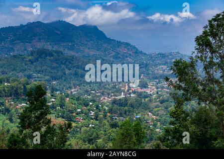 La ville de Luhoto est nichée dans une vallée fertile à environ 1 200 m, entourée de pins et d'eucalyptus mélangés à des bananes et à d'autres feuilles tropicales. Banque D'Images