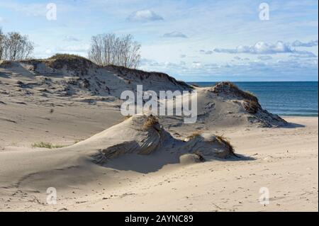 dunes de sable, dunes de sable sur la plage de la mer Banque D'Images
