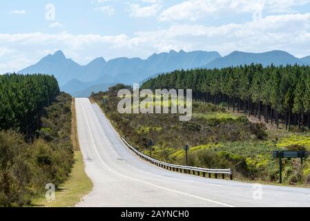 Tsitsikamma, Cap Oriental, Afrique Du Sud, Déc. 2019. Route vide sur la route du jardin près de Tsitsikamma dans la région du cap oriental. Afrique Du Sud Banque D'Images