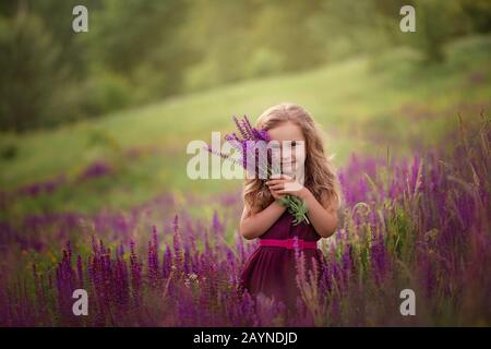 Belle petite fille avec bouquet salvia dans un champ de fleurs sauvages pourpre Banque D'Images