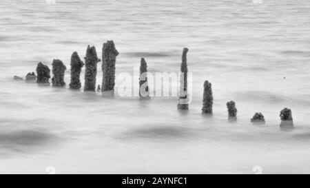 Une image abstraite des groynes pleurées entourées par la mer. Banque D'Images