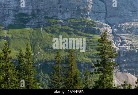 Vue depuis la piste Eiger Ultra de la gare Kleine Scheidegg jusqu'à la ville de Wengen dans les Alpes suisses. Banque D'Images