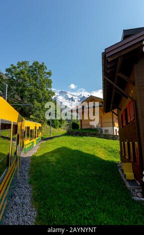 Belle vue sur les Alpes suisses sur le train jaune du chemin de fer Wengernalp de Wengen à Kleine Scheidegg avec des pics de Jungfraujoch derrière, Suisse. Banque D'Images