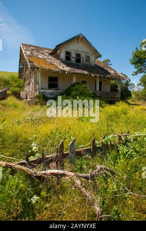 Ancienne ferme abandonnée à la Palouse près de Colfax, État de Washington de l'est, États-Unis. Banque D'Images