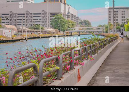 Vue sur les célèbres cours d'eau de klong ou de canal de Bangkok City tourné dans des tons pastel doux pour montrer le concept de l'été et thème d'anime Banque D'Images