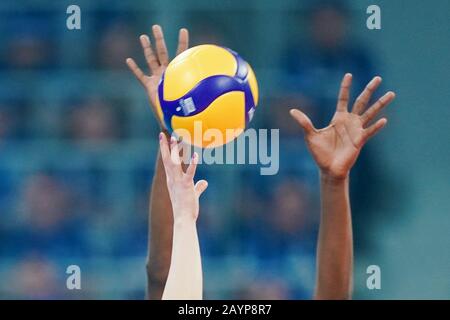 Mannheim, Allemagne. 16 février 2020. Volley-ball, femmes: DVV Cup, final, Dresdner SC - MTV Stuttgart, SAP Arena. Les bras s'étirent vers le ballon. Crédit: Uwe Anspach/Dpa/Alay Live News Banque D'Images