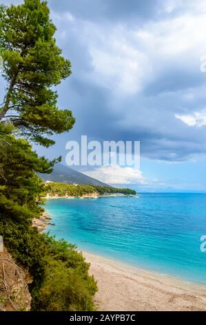 Côte à bol, île de Brac, Croatie. Vue panoramique sur la montagne, les pins et l'eau turquoise de la mer Adriatique le jour ensoleillé. Destination touristique célèbre Banque D'Images