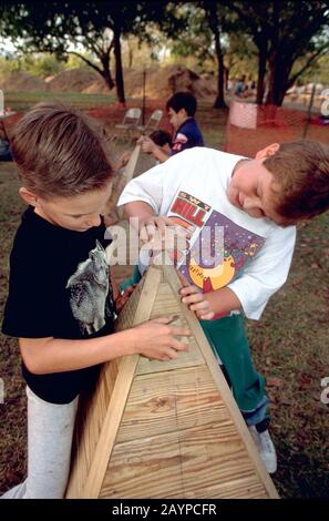 New Braunfels, TX États-Unis: Les jeunes garçons aident à construire un grand paysage de jeu en bois au parc communautaire. ©Bob Daemmrich Banque D'Images