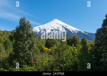 Vue de la base du volcan Osorno de la neige et du glacier du volcan Osorno qui est un stratovolcan dans le sud du Chili près de Puerto Varas et Puerto Banque D'Images