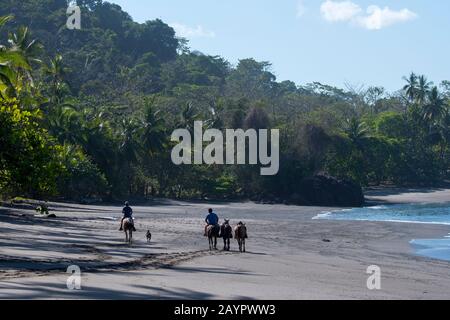Les gens qui font de l'équitation sur la plage de Playa San Josecito sur la péninsule d'Osa sur la côte du Pacifique du Costa Rica. Banque D'Images