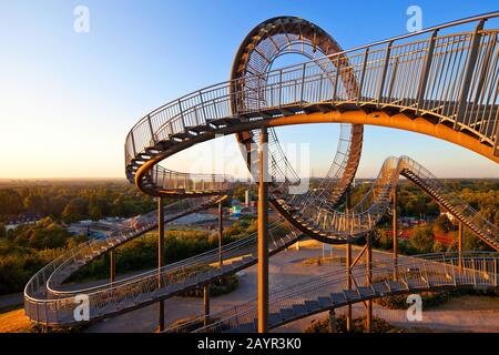 Tiger and Turtle – montagne magique, installation artistique et site touristique à Angerpark, Allemagne, Rhénanie-du-Nord-Westphalie, région de la Ruhr, Duisburg Banque D'Images