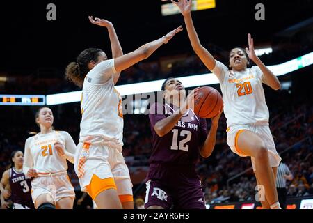 Knoxville, Tennessee, États-Unis. 16 Février 2020 : Cheah Rael-Whitsitt #12 des Agies TEXAS A&M essaie de tirer le ballon tandis que Tamari Key #20 et Rae Burrell #12 de la Tennessee Lady Vols défendent pendant le match de basket-ball NCAA entre l'Université des bénévoles Lady du Tennessee et les Agies Texas A&M University à Thompson Boling Arena de Knoxville Tn Tim Gangloff/Csm Crédit: Cal Sport Media/Alay Live News Banque D'Images