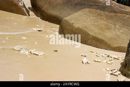 Rochers, coquillages, morceaux de corail et vagues près de Nudey Beach sur l'île Fitzroy dans la mer de corail au large de la côte tropicale du Queensland Australie. Banque D'Images