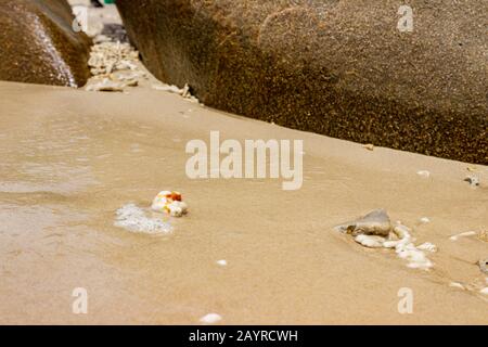 Rochers, coquillages, morceaux de corail et vagues près de Nudey Beach sur l'île Fitzroy dans la mer de corail au large de la côte tropicale du Queensland Australie. Banque D'Images