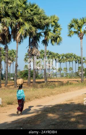 Une femme marche le long de la route de Bagan à Mandalay au Myanmar en équilibrant un panier sur sa tête. Banque D'Images