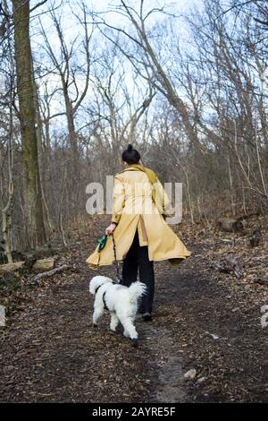 Femme marche avec son compagnon canin le long d'un sentier en hiver à Prospect Park, Brooklyn, New York. Banque D'Images