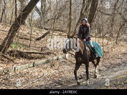Une adolescente effectue une balade en hiver à cheval sur un sentier à Prospect Park, Brooklyn, New York. Banque D'Images