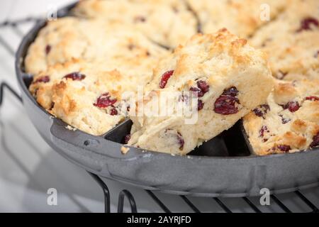 Maison fait canneberges et scones de citron dans une poêle à four scone, avec un coin sorti, reposant sur une grille de refroidissement Banque D'Images