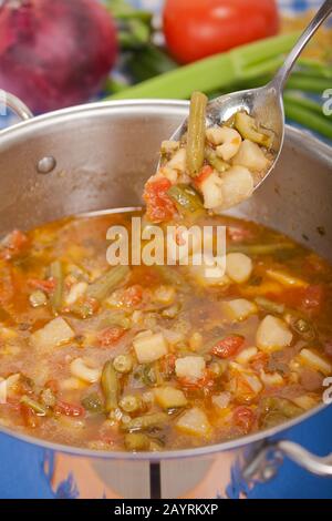 Pot de soupe de légumes maison contenant des tomates, des haricots verts, des oignons, des courgettes, des pommes de terre et des pâtes, ainsi que des légumes crus et une cuillère de Banque D'Images