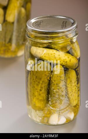 Deux bocal de pickles d'aneth en conserve, montrant les concombres marinés, les mauvaises herbes, l'ail et les feuilles de raisin Banque D'Images