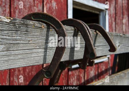 Fers à cheval sur une clôture à une grange dans la vallée de Union Flat Creek dans le comté de Whitman dans la Palouse, État de Washington, États-Unis. Banque D'Images