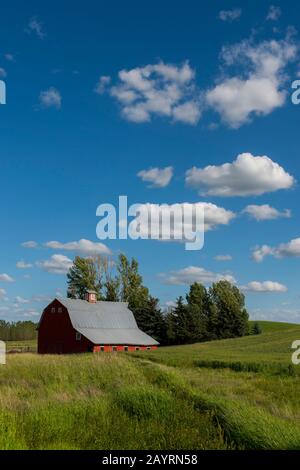 Vue sur une grange rouge près de Steptee Butte dans le comté de Whitman dans la Palouse, État de Washington, États-Unis. Banque D'Images