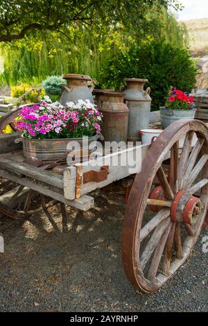 Vieux wagon avec fleurs dans une ancienne station-service, faisant partie d'une collection de voitures anciennes dans une ferme près de Colfax dans le comté de Whitman dans la Palouse, État de Washington, Banque D'Images