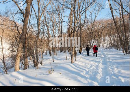 Touristes dans une forêt avec de la neige près du petit village de Tsurui près de la ville japonaise de Kushiro sur l'île d'Hokkaido, Japon. Banque D'Images