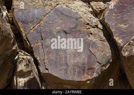 Les pétroglyphes anciens du cerf, du mouton bigorn et d'un homme comme la figure sont sculptés dans des roches de grès au site pétroglyphe de l'État de Legend Rock au Wyoming. Banque D'Images