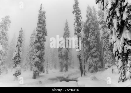 WA17433-00 .... WASHINGTON - Journée d'hiver dans la nature sauvage des lacs alpins, Mount Baker Snoqualmie Wilderness. Banque D'Images