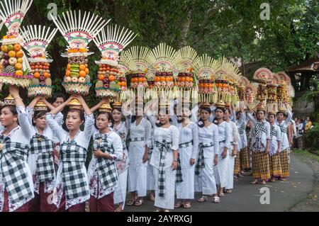 Bali, Indonésie - 26 juillet 2010: Groupe de femmes en costumes traditionnels et offre colorée sur leur tête marcher jusqu'au temple Saint Pura Tanah Lot. Banque D'Images