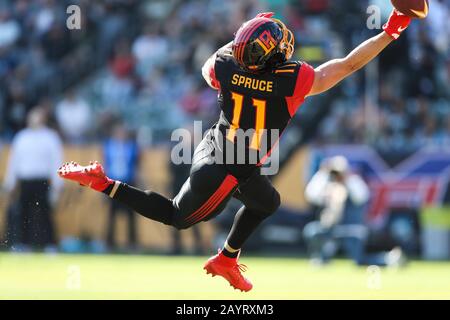 16 février 2020: Le grand récepteur de la Wildcats Nelson Spruce (11) bonde pour la prise de toucher de terrain de l'iraient, mais canÕt ravage tout à fait la passe dans le jeu entre Dallas Renegades et Los Angeles Wildcats, Dignité Health Sports Park, Carson, CA. Peter Joneleit/CSM Banque D'Images