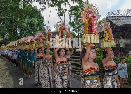 Bali, Indonésie - 26 juillet 2010: Groupe de femmes en costumes traditionnels et offre colorée sur leur tête marcher jusqu'au temple Saint Pura Tanah Lot. Banque D'Images