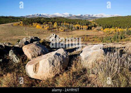 WY02473-00...WYOMING - les monts Bighorn vue de la route 19 dans la forêt nationale de Bighorn. Banque D'Images