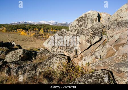 WY02474-00...WYOMING - les monts Bighorn vue de la route 19 dans la forêt nationale de Bighorn. Banque D'Images