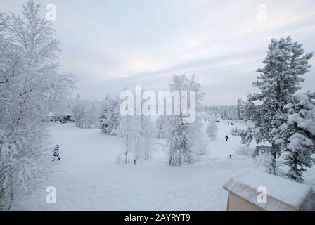 Arbres enneigés à Aurora Village, Yellowknife, Territoires du Nord-Ouest, Canada Banque D'Images