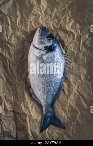 Rame de mer à tête dorée (Sparus aurata) prête à cuire sur le papier de cuisson. Banque D'Images