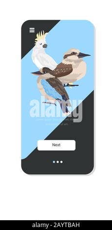Kookaburra cocatoo oiseaux caricature animaux sauvages symbole faune faune concept smartphone écran mobile application verticale copie espace illustration vectorielle Illustration de Vecteur