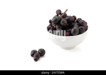 Syzygium cumini, prune noire, jamun ou Syzygium cumini dans un bol en céramique blanche isolé sur fond blanc avec chemin de découpe Banque D'Images