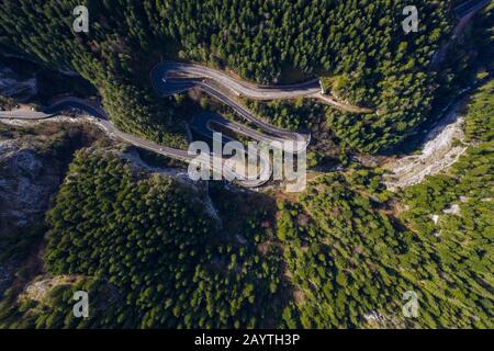 Vue sur la route forestière sinueuse au milieu de la gorge de Bicaz, Transylvanie Banque D'Images