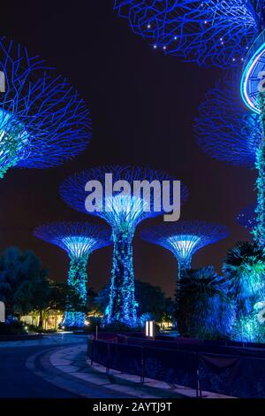 Superarbres la nuit, Supertree Grove, Gardens by the Bay, Singapour Banque D'Images