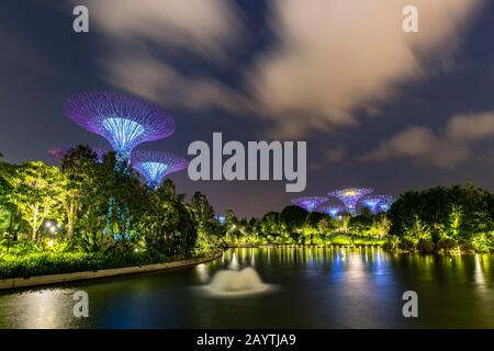 Superarbres au crépuscule, réflexion sur l'eau, jardins près de la baie, Singapour Banque D'Images