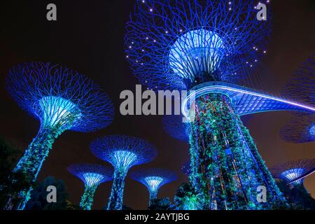 Superarbres la nuit, Supertree Grove, Gardens by the Bay, Singapour Banque D'Images